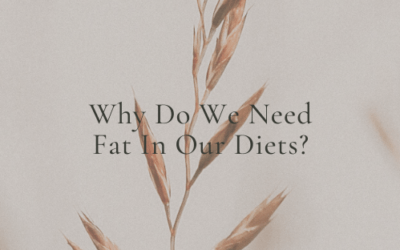 Why Do We Need Fat In Our Diets