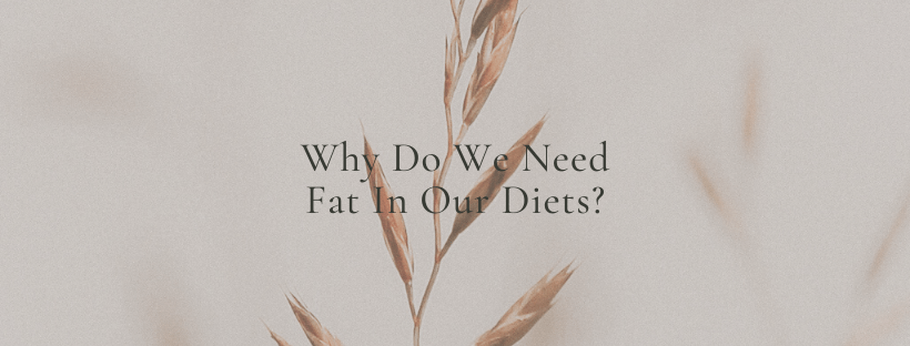 Why need fat in our Diets