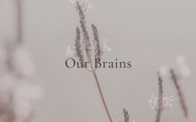 Our Brains