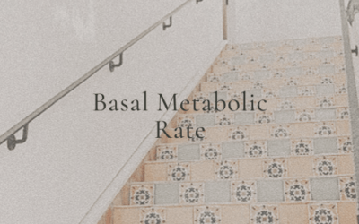 Basal Metabolic rate