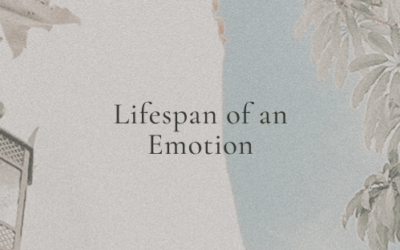 Lifespan Of An Emotion