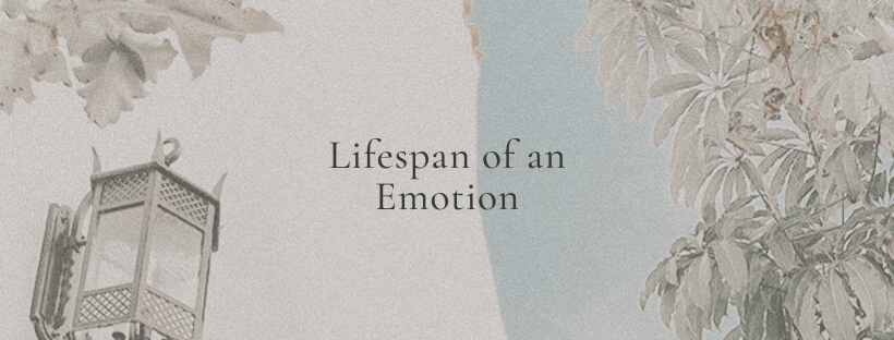 Lifespan Emotion