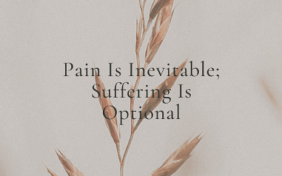 Pain Inevitable Suffering Optional
