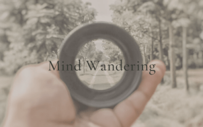 Mind Wandering