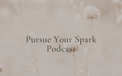 Pursue Your Spark Podcast